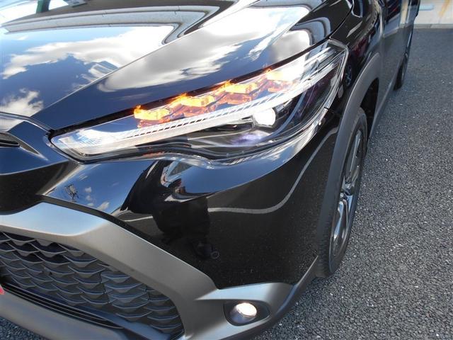 �k�d�c�w�b�h���C�g���ځA�����E�C���J�[�ł��B