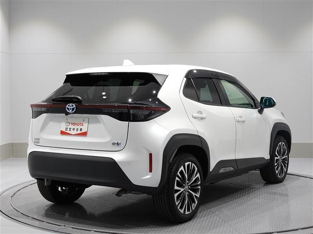 ���A�K���X�̓v���C�o�V�[�K���X�ɂȂ��Ă��܂��B�p�m���}�r���[���j�^�[�ŎԌɓ�������S�ł��B