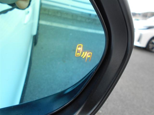 �u���C���h�X�|�b�g���j�^�[�i�a�r�l�j�����S�@�\�ł��B