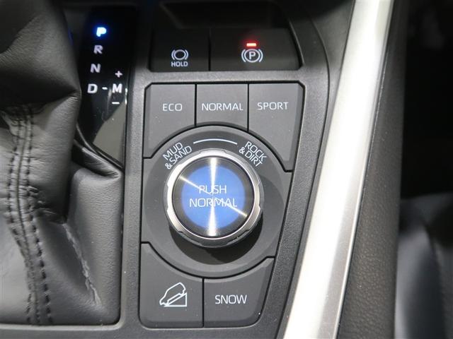 RAV4 G Zパッケージ 4WD フルセグ メモリーナビ ミュージックプレイヤー接続可 バックカメラ 衝突被害軽減システム ETC ドラレコ LEDヘッドランプ(33枚目)