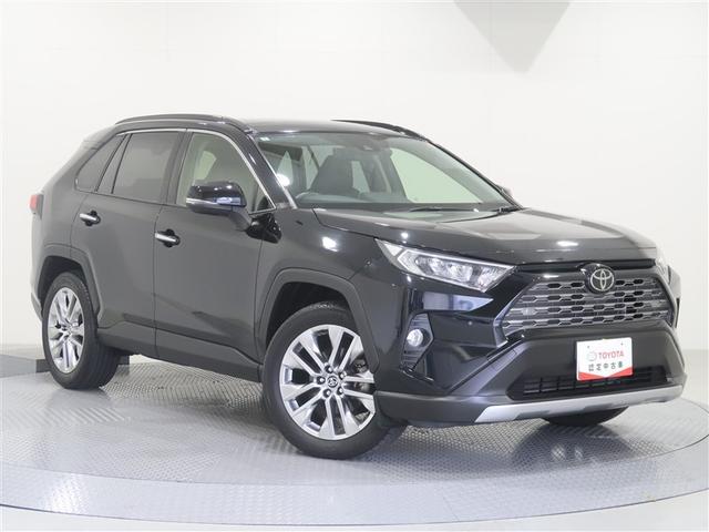 ＲＡＶ４ Ｇ　Ｚパッケージ　サンルーフ　４ＷＤ　フルセグ　メモリーナビ　ＤＶＤ再生　ミュージックプレイヤー接続可　バックカメラ　衝突被害軽減システム　ＥＴＣ　ドラレコ　ＬＥＤヘッドランプ　記録簿（22枚目）