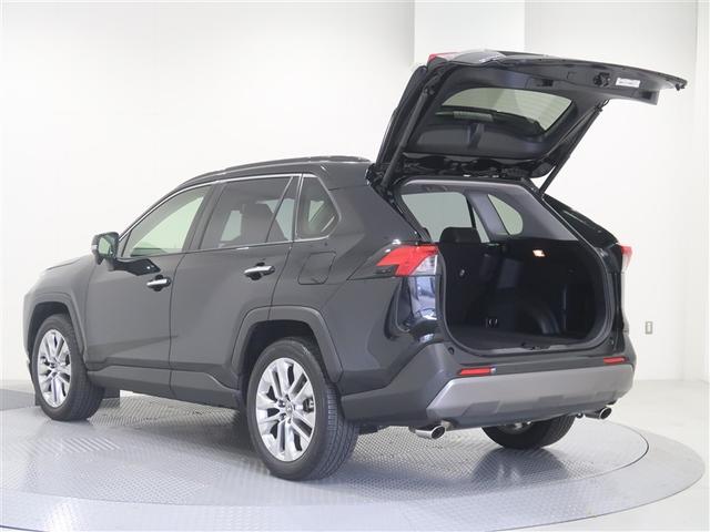 ＲＡＶ４ Ｇ　Ｚパッケージ　サンルーフ　４ＷＤ　フルセグ　メモリーナビ　ＤＶＤ再生　ミュージックプレイヤー接続可　バックカメラ　衝突被害軽減システム　ＥＴＣ　ドラレコ　ＬＥＤヘッドランプ　記録簿（25枚目）