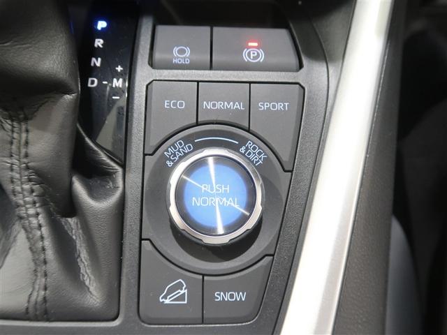 ＲＡＶ４ Ｇ　Ｚパッケージ　サンルーフ　４ＷＤ　フルセグ　メモリーナビ　ＤＶＤ再生　ミュージックプレイヤー接続可　バックカメラ　衝突被害軽減システム　ＥＴＣ　ドラレコ　ＬＥＤヘッドランプ　記録簿（34枚目）