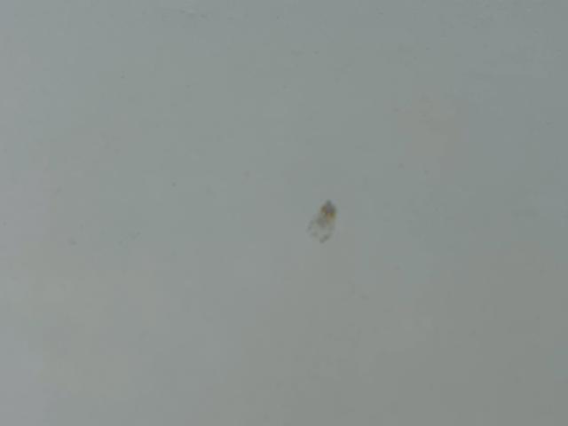 ワゴンR ハイブリッドFX ディスプレイオーディオ バックカメラ プッシュスタート スマートキー ドラレコ前後 オートエアコン(44枚目)