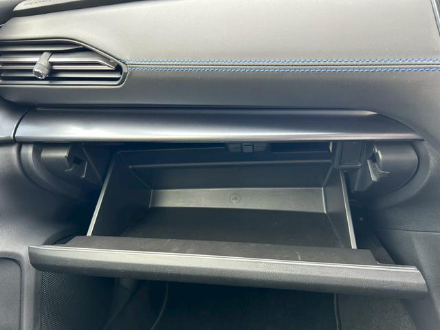 レヴォーグ ＧＴ－Ｈ　クルーズコントロール　パドルシフト　フロントカメラ　サイドカメラ　電動リアゲート　ＥＴＣ（25枚目）