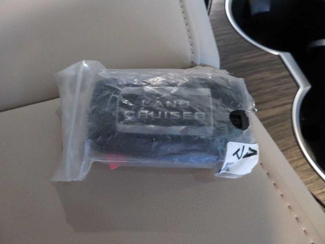 ランドクルーザー ZX ツインターボ 4WD ルーフレール PWバックドア モデリスタエアロ Sステップ LEDライト サンルーフ 本革 Rエンターテイメントシステム JBL COOLBOX AC電源 BSM 2.0ETC(45枚目)