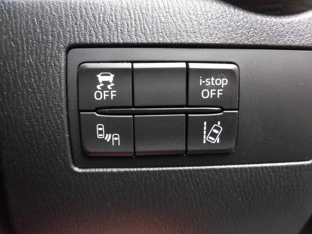 デミオ ＸＤツーリング　セーフティパッケージ　全国ロング保証付　６速ＭＴ　衝突被害軽減システム　マツダコネクトナビ　フルセグＴＶ　バックカメラ　Ｂｌｕｅｔｏｏｔｈ　ドライブレコーダー　クルーズコントロール　オートライト（30枚目）