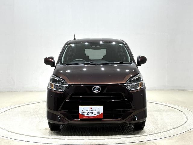 �T�X�e�B�i�u���E�X���[���B�n���̂��߂ɁC���̕�炵�ɃW���X�g�t�B�b�g�B�~���C�[�X�����גv���܂����B