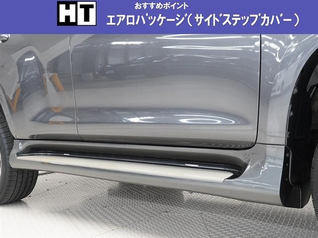 純正用品製フルエアロ装着しています。（サイド）