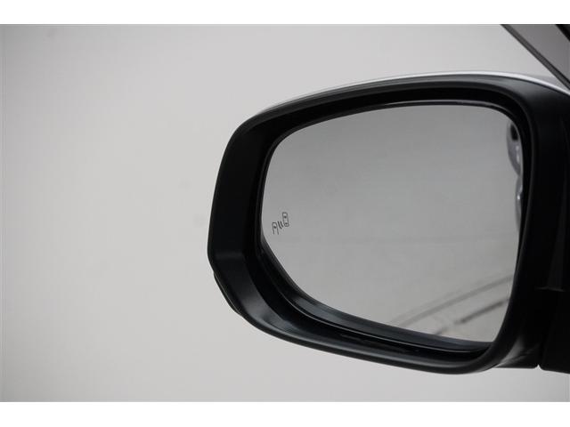 �u���C���h�X�|�b�g���j�^�[�ł��B�ׂ̎Ԑ��𑖍s����ԗ������[�_�[�Ŋ��m���^�]���A�V�X�g���Ă���܂��B