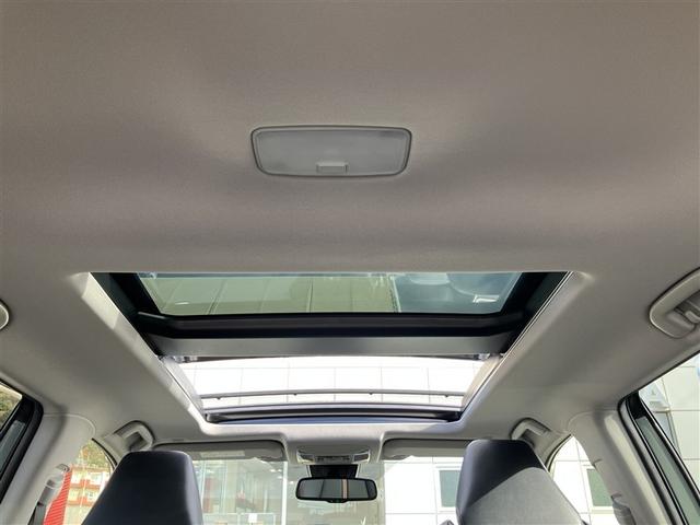 RAV4 ハイブリッドアドベンチャー サンルーフ 4WD フルセグ メモリーナビ バックカメラ 衝突被害軽減システム ETC LEDヘッドランプ ワンオーナー 記録簿(15枚目)