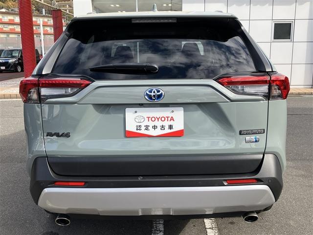 RAV4 ハイブリッドアドベンチャー サンルーフ 4WD フルセグ メモリーナビ バックカメラ 衝突被害軽減システム ETC LEDヘッドランプ ワンオーナー 記録簿(24枚目)