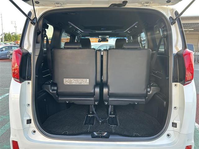 アルファード 2.5S タイプゴールド サンルーフ フルセグ メモリーナビ DVD再生 後席モニター バックカメラ 衝突被害軽減システム ETC 両側電動スライド LEDヘッドランプ 乗車定員7人 3列シート フルエアロ 記録簿(13枚目)