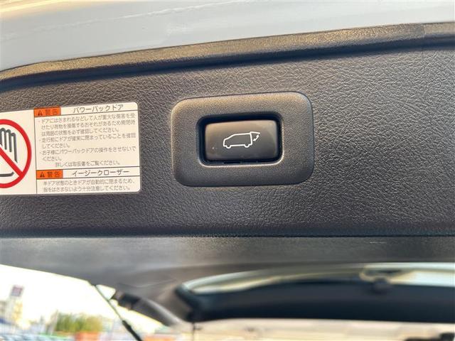 アルファード 2.5S タイプゴールド サンルーフ フルセグ メモリーナビ DVD再生 後席モニター バックカメラ 衝突被害軽減システム ETC 両側電動スライド LEDヘッドランプ 乗車定員7人 3列シート フルエアロ 記録簿(14枚目)