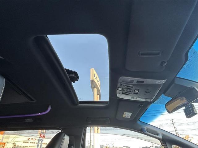 アルファード 2.5S タイプゴールド サンルーフ フルセグ メモリーナビ DVD再生 後席モニター バックカメラ 衝突被害軽減システム ETC 両側電動スライド LEDヘッドランプ 乗車定員7人 3列シート フルエアロ 記録簿(26枚目)