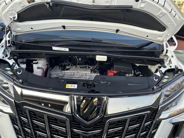 アルファード 2.5S タイプゴールド サンルーフ フルセグ メモリーナビ DVD再生 後席モニター バックカメラ 衝突被害軽減システム ETC 両側電動スライド LEDヘッドランプ 乗車定員7人 3列シート フルエアロ 記録簿(39枚目)