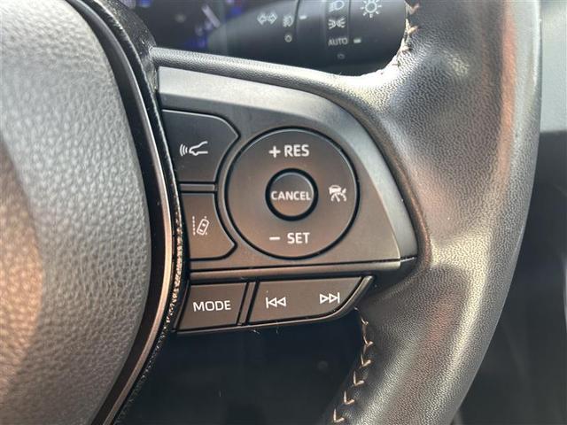 �������^�]�̋����������I�[�g�h���C�u�t���ł���