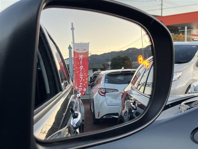 ライズ Ｚ　フルセグ　バックカメラ　衝突被害軽減システム　ＥＴＣ　ドラレコ　ＬＥＤヘッドランプ　ワンオーナー　記録簿　アイドリングストップ（9枚目）