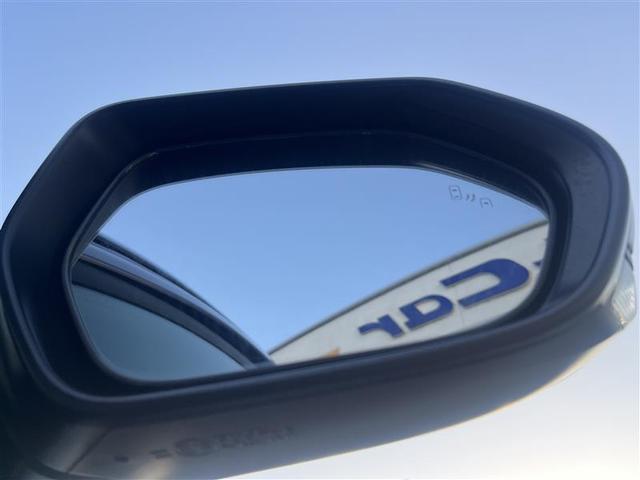 Ｃ－ＨＲ Ｇ　フルセグ　メモリーナビ　ＤＶＤ再生　バックカメラ　衝突被害軽減システム　ＥＴＣ　ＬＥＤヘッドランプ　フルエアロ　記録簿　アイドリングストップ（21枚目）