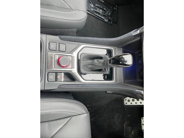 フォレスター アドバンス　サンルーフ　４ＷＤ　純正ナビ　衝突被害軽減システム　アクセル踏み間違い防止装置　レーンキープアシスト　オートハイビーム（22枚目）