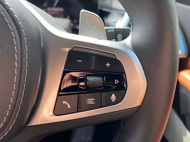 X7 xDrive 40d Mスポーツ 4WD ドライブレコーダー ETC バックカメラ クリアランスソナー オートクルーズコントロール レーンアシスト パワーシート 衝突被害軽減システム サンルーフ ナビ オートライト(14枚目)