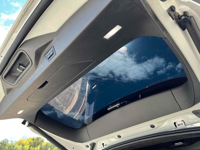 X7 xDrive 40d Mスポーツ 4WD ドライブレコーダー ETC バックカメラ クリアランスソナー オートクルーズコントロール レーンアシスト パワーシート 衝突被害軽減システム サンルーフ ナビ オートライト(65枚目)