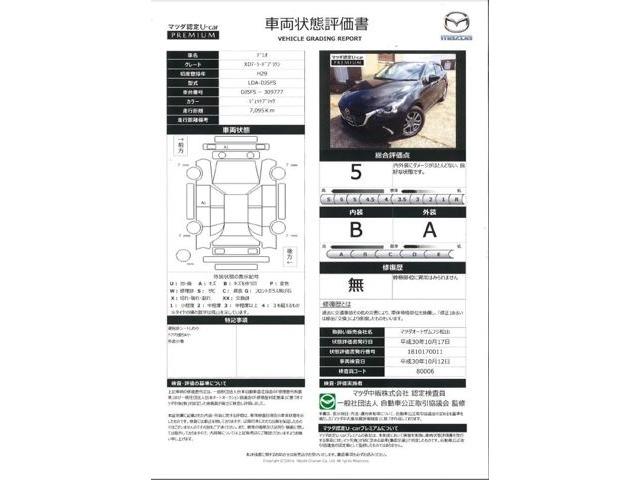 XDテーラードブラウン(20枚目)