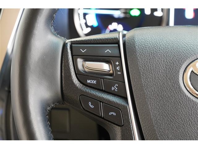 アルファードハイブリッド G Fパッケージ Bモニター エアロ オートクルーズコントロール 地デジ オートエアコン ドライブレコーダー 電動シート ABS エアバッグ ETC キーレス 盗難防止装置 メモリーナビ 横滑防止 3列シート アルミ(21枚目)