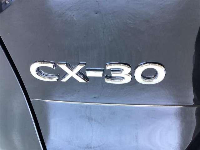 CX-30 2.0 20S ブラックトーンエディション フルセグ・全カメラ(8枚目)