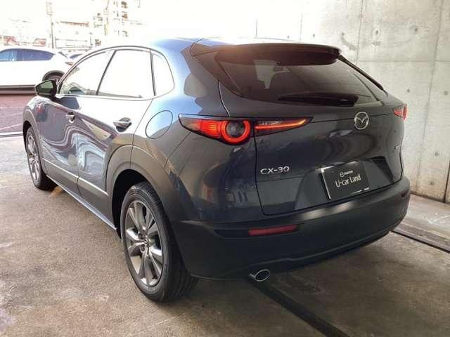 ＣＸ－３０ ２．０　２０Ｓ　ツーリング　メモリーナビ・フルセグ・全カメラ（15枚目）