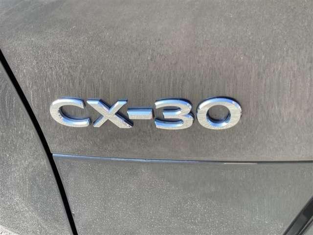 ＣＸ－３０ ２．０　２０Ｓ　Ｌパッケージ　メモリーナビ・フルセグ・全カメラ（13枚目）