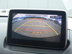 �ǥߥ� ���������أġ��ǥ������륿���ܡ����꡼�ʥӡ���󥻥� 1000593A20230217Z012 2