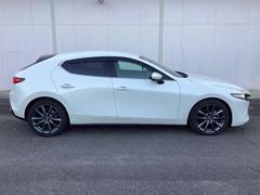 ͣڣģեȥХå أġ̥ѥåǥ륿ܡ꡼ʥ 1000593A20251023Z010 5