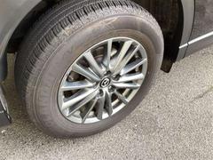 ãءݣ أġץƥ֡ǥ륿ܡף 1000593A20251121Z001 3