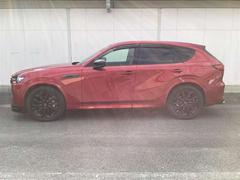 �ãءݣ��� ���������أĥϥ��֥�åɡ��ץ�ߥ��ࡡ���ݡ��ġ��ǥ������륿 1000593A20251121Z004 3