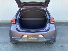 �ǥߥ� ���������أġ��ġ���󥰡��ǥ������륿���ܡ����꡼�ʥ� 1000593A20251127Z001 6