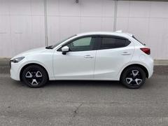 �ͣ��ڣģ��� �������������£ġ����꡼�ʥӡ��ե륻����������� 1000593A20251226Z009 3