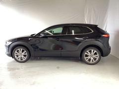 �ãءݣ��� �������������ӡ��ץ������ƥ��֡��ġ���󥰥��쥯����󡡥��꡼�ʥ� 1000593A20251226Z010 5