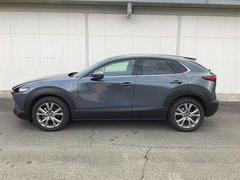 �ãءݣ��� �������������ӡ��ץ������ƥ��֡��ġ���󥰥��쥯����󡡥��꡼�ʥ� 1000593A20251226Z011 3