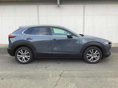 �ãءݣ��� �������������ӡ��ץ������ƥ��֡��ġ���󥰥��쥯����󡡥��꡼�ʥ� 1000593A20251226Z011 4