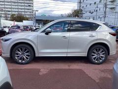 �ãءݣ� ���������أġ����������롼���֡��⡼�ɡ��ǥ������륿���� 1000593A20251227Z002 3