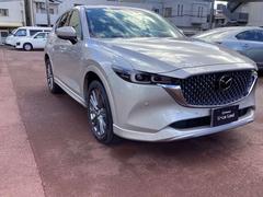 �ãءݣ� ���������أġ����������롼���֡��⡼�ɡ��ǥ������륿���� 1000593A20251227Z002 7