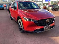 �ãءݣ� ���������أġ���ȥ����ݡ��ĥ��ǥ�����󡡥ǥ������륿���ܡ����꡼�ʥ� 1000593A20251227Z003 7