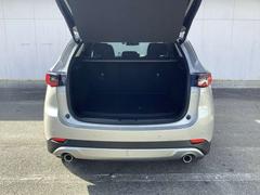 �ãءݣ� �������������ӡ��ե�����ɡ����㡼�ˡ������ף� 1000593A20260108Z003 7