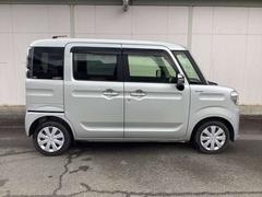 �ե쥢�若�� ���������ϥ��֥�åɡ��أӡ����꡼�ʥӡ��ե륻�� 1000593A20260108Z004 3