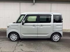 �ե쥢�若�� ���������ϥ��֥�åɡ��أӡ����꡼�ʥӡ��ե륻�� 1000593A20260108Z004 5