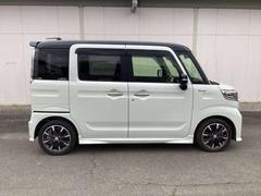 �ե쥢�若�󥫥����ॹ������ ���������������ॹ�����롡�ϥ��֥�åɡ��أӡ����꡼�ʥ� 1000593A20260108Z005 5