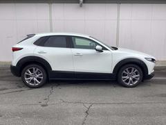 �ãءݣ��� ���������أġ��̥ѥå��������ǥ������륿���ܡ����꡼�ʥ� 1000593A20260108Z009 6