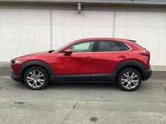 �ãءݣ��� ���������أġ��ץ������ƥ��֡��ġ���󥰥��쥯����󡡥ǥ��� 1000593A20260108Z010 3