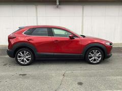 �ãءݣ��� ���������أġ��ץ������ƥ��֡��ġ���󥰥��쥯����󡡥ǥ��� 1000593A20260108Z010 4